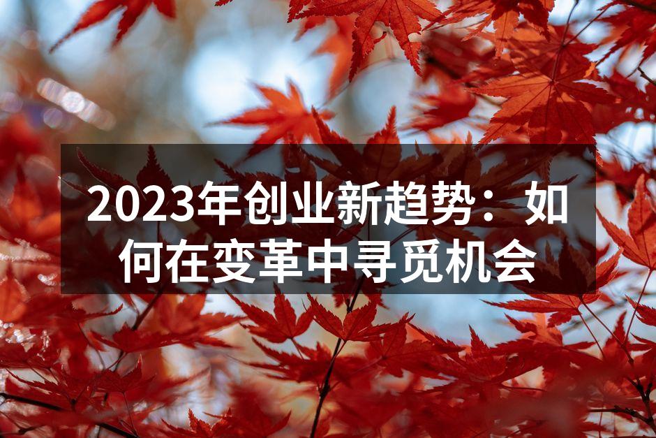 2023年创业新趋势：如何在变革中寻觅机会