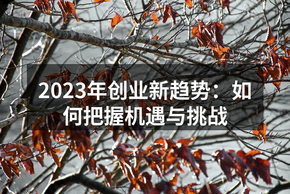 2023年创业新趋势：如何把握机遇与挑战