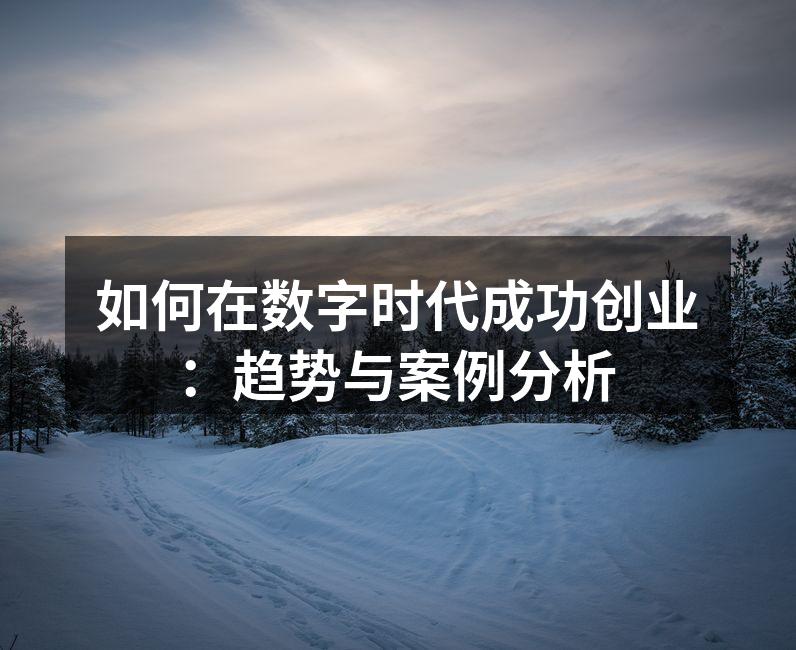 如何在数字时代成功创业：趋势与案例分析