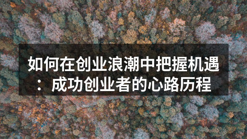 如何在创业浪潮中把握机遇：成功创业者的心路历程